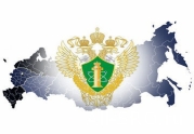 В 2019 году изменится выписка из реестра членов СРО: читать другие актуальные новости о СРО на информационном портале «Всё о саморегулировании».